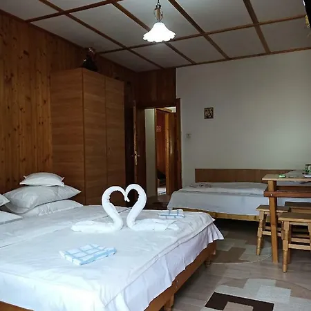 Guest house Casa Rodica Str. Clabucetului 28