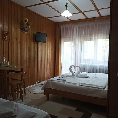 Casa Rodica Str. Clabucetului 28 Guest house *