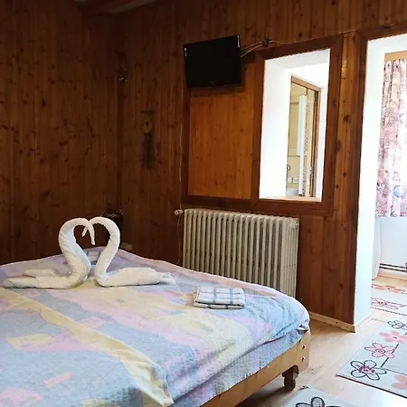 Casa Rodica Str. Clabucetului 28 Guest house *