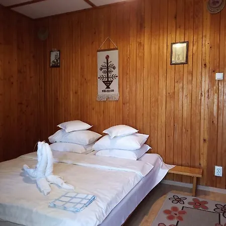 Guest house Casa Rodica Str. Clabucetului 28 *