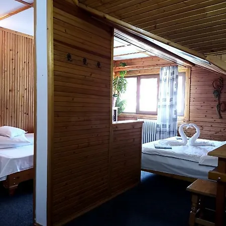 Guest house Casa Rodica Str. Clabucetului 28 *